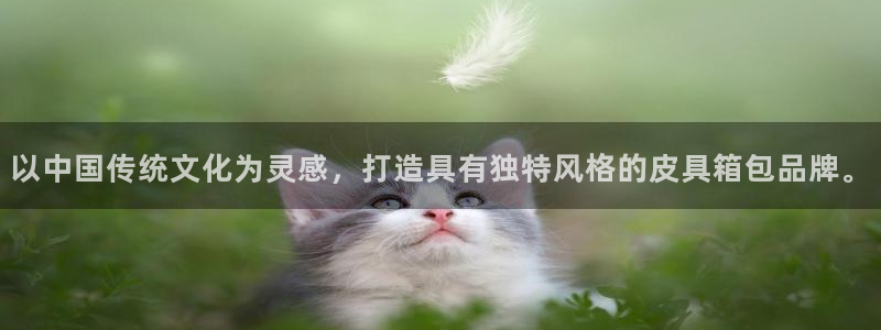 必一体育bsport下载