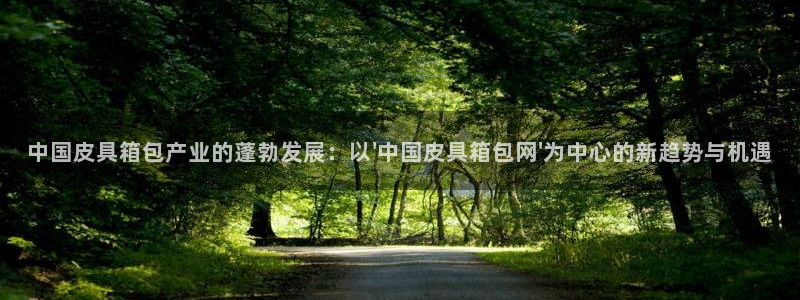 必一体育合法吗