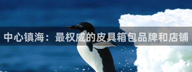 必一体育下载秀给网