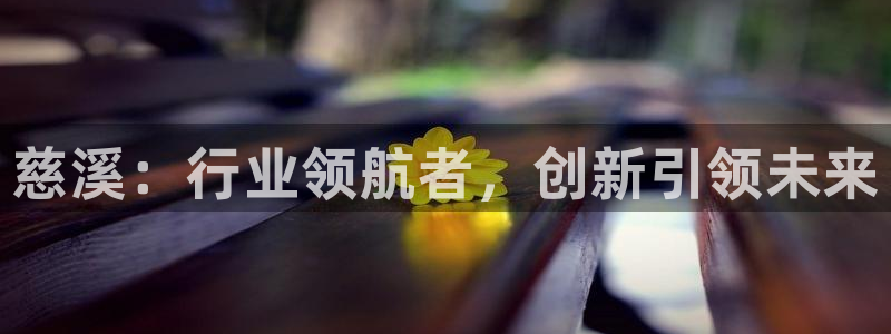 必一体育最新官网入口首页