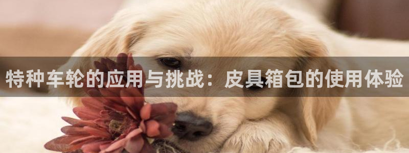 必一体育app官方下载入口