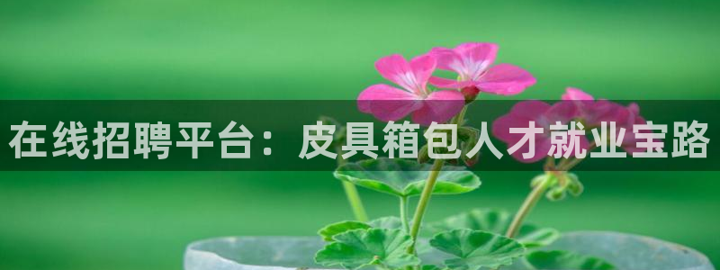 必一运动sport爱查股
