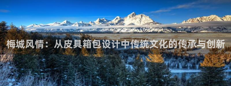必一体育app官方