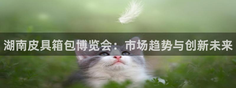 必一运动·(B-sports)