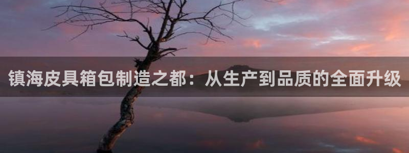 Bsport体育必一