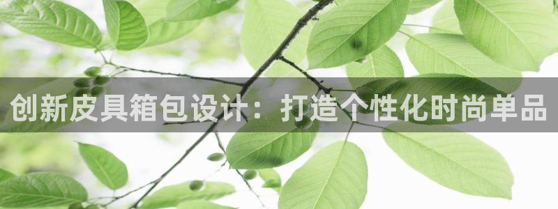 必一体育app下载