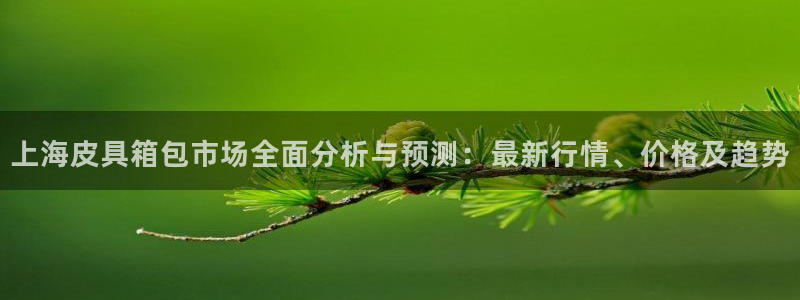 必一体育APP下载安装