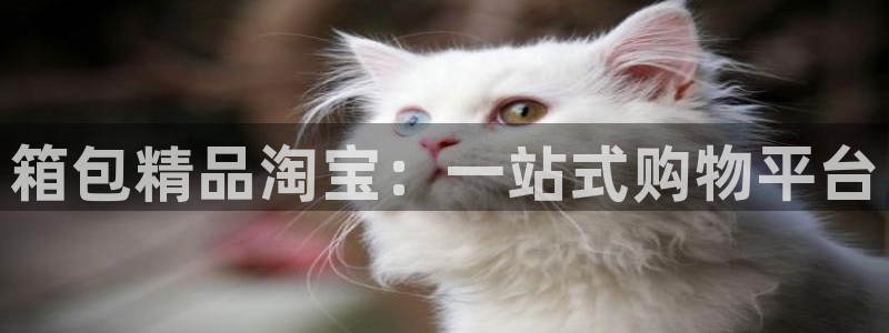 必一体育官方下载入口