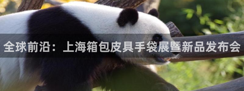 必一体育运动app下载