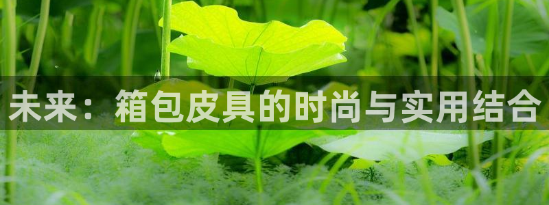 必一体育周公