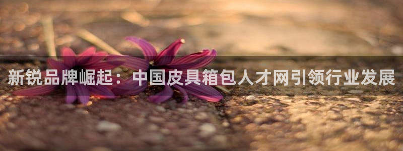 必一体育sport下载