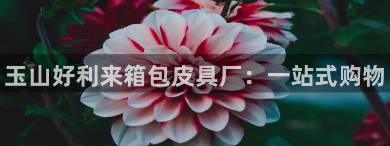 必一运动·(B-Sports)土豆