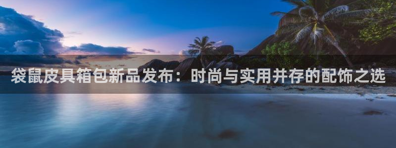 必一体育怎么下载