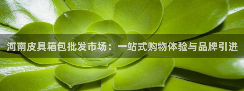 b体育必一下载