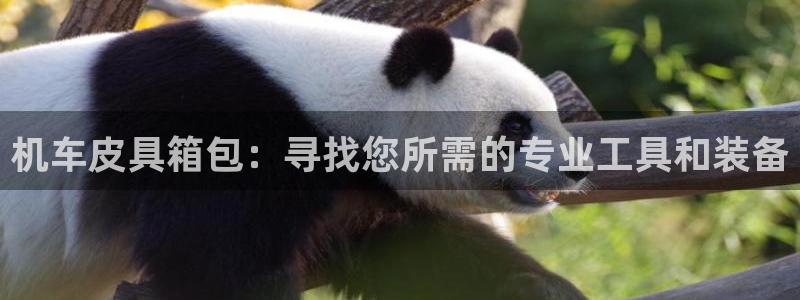 必一体育官网入口