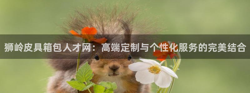 必一体育在线下载