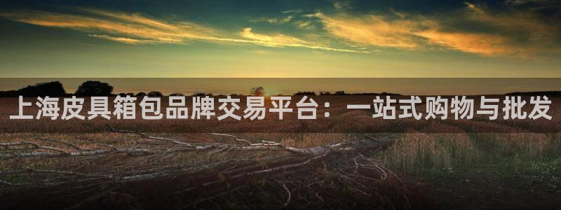必一体育官网ios下载