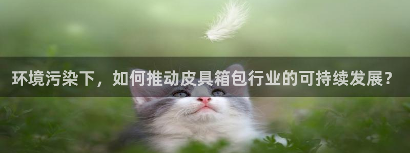 必一体育怎么下载