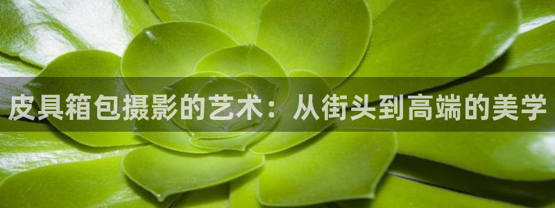 必一体育app下载安装