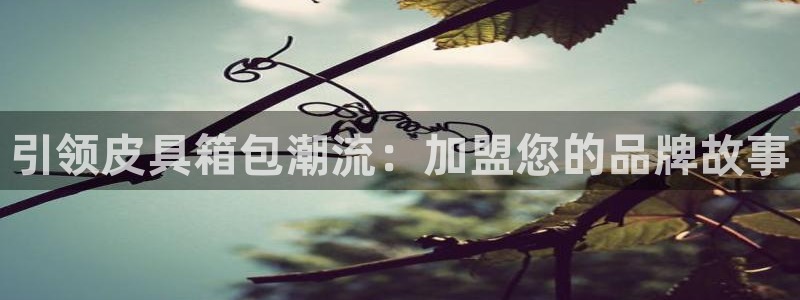必一体育官网app