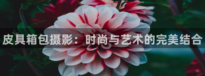 必一体育官方入口