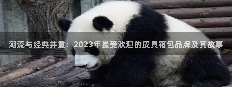 必一体育可靠吗