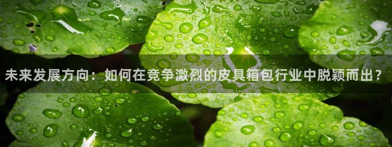 必一体育平台