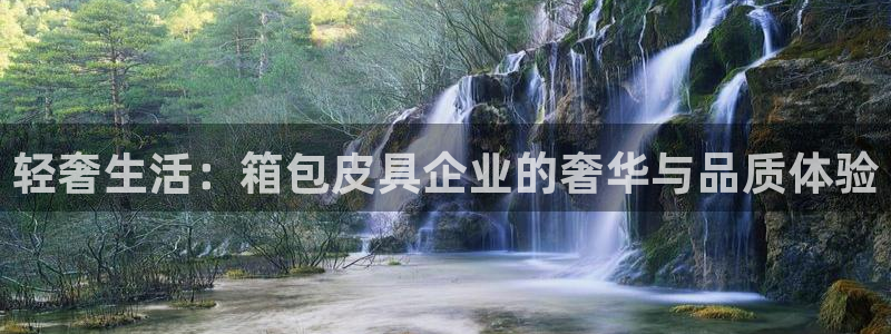 必一体育网页
