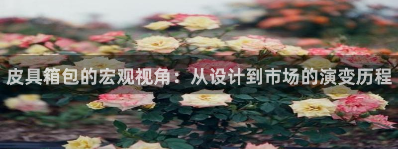 必一体育在线下载