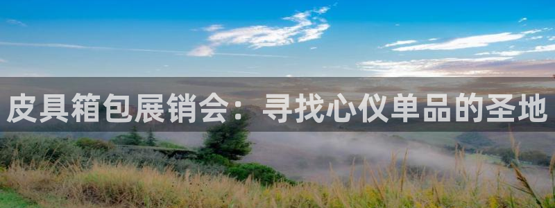 必一体育sport网页版