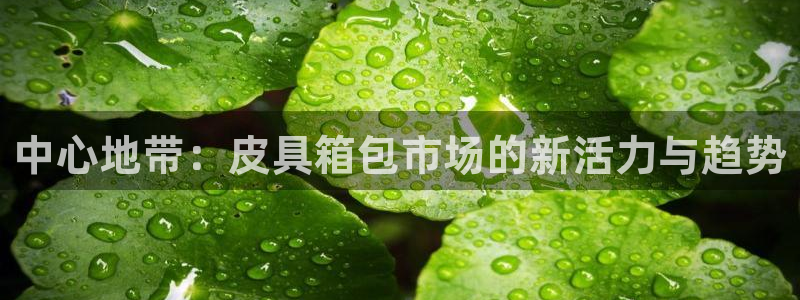 必一体育APP下载安装
