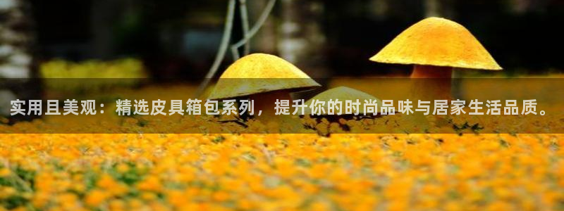必一体育合法吗