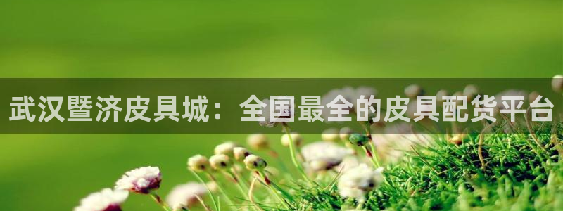 必一体育app官方下载