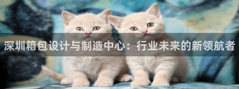必一体育官网网址