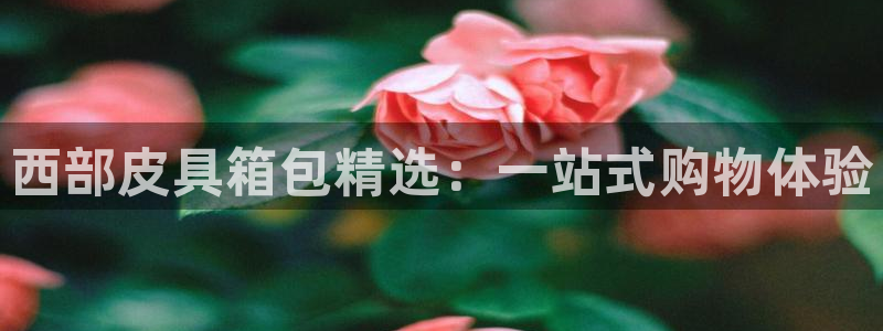 必一运动·(B-Sports)土豆