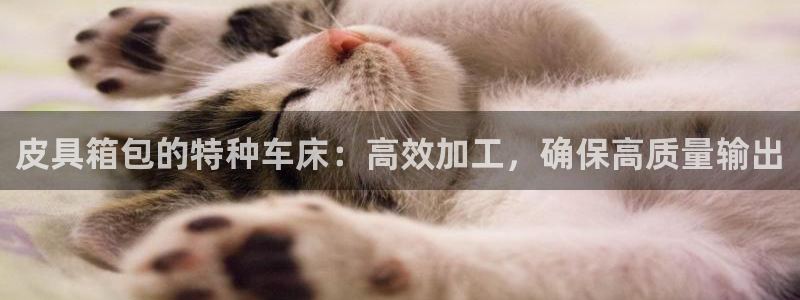 必一体育sportB体育