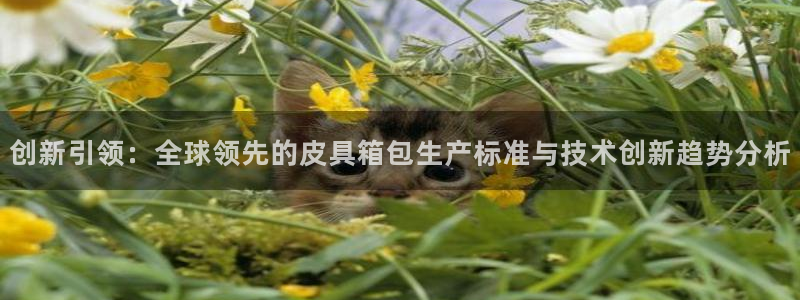 必一运动官网登录入口