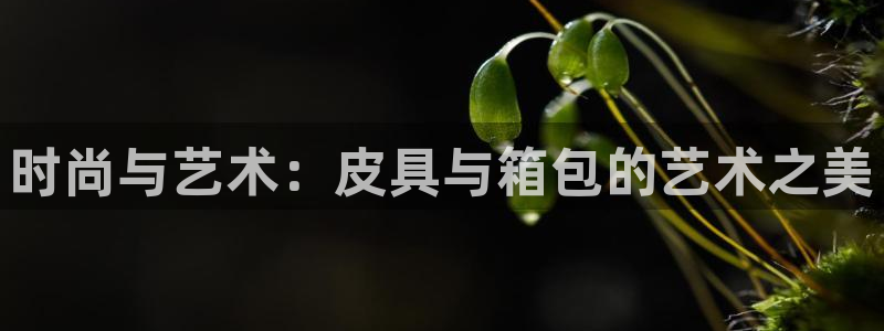 必一运动·(B-Sports)