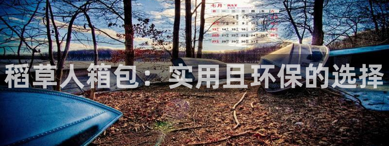 必一体育秀给网