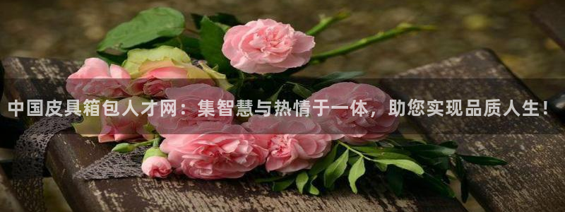 必一运动体