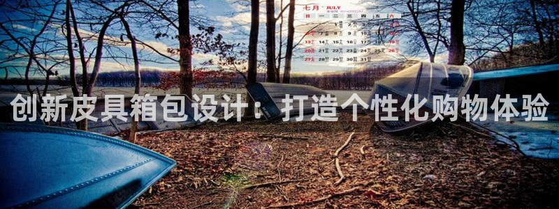 必一体育在哪下