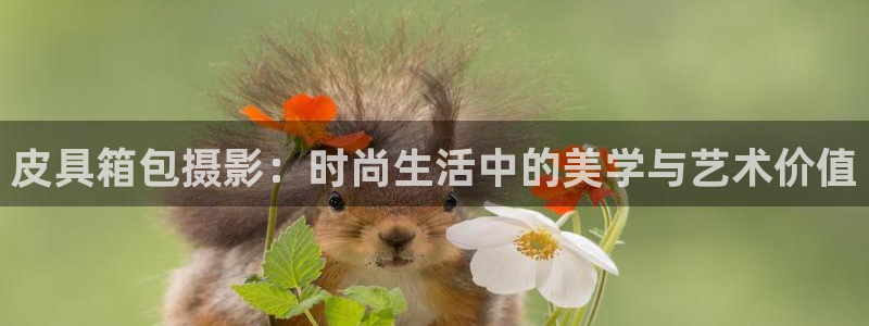 必一体育app下载装机吧