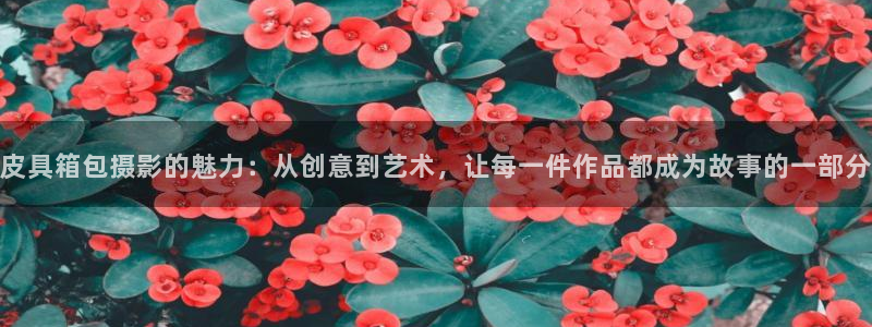 必一体育sport官方网站