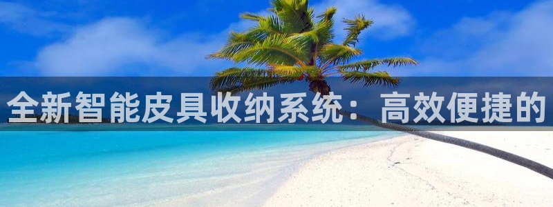 必一体育sport下载