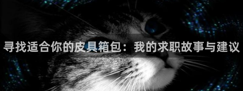 必一体育网页版登录