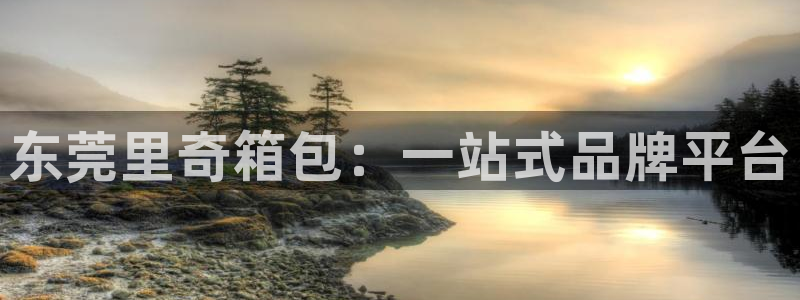 必一体育平台