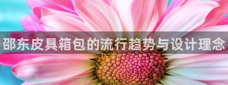 必一体育下载一样吗