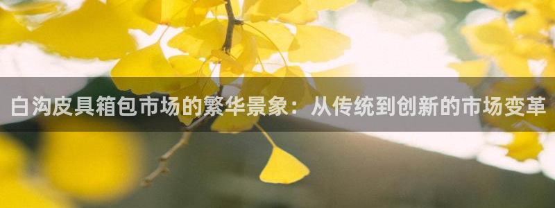 必一体育sport