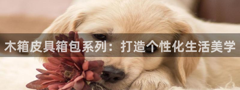 必一运动bsport体育app下载