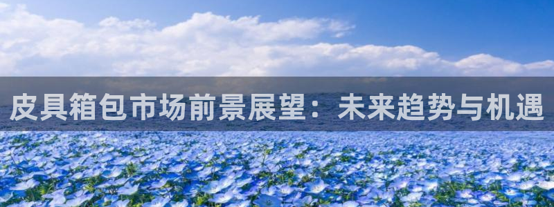 必一体育官网入口